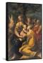 Madonna with Child and Sts. Augustine, Jerome, Margaret and an Angel-Parmigianino-Framed Stretched Canvas