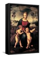 Madonna with Child and the Infant John the Baptist (Madonna of Goldfinch)-Sanzio Raffaello-Framed Stretched Canvas