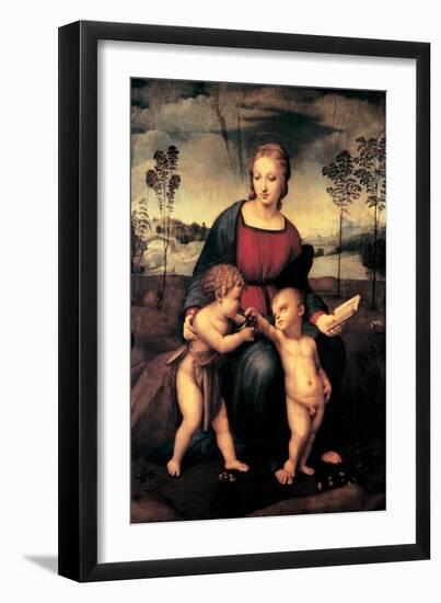 Madonna with Child and the Infant John the Baptist (Madonna of Goldfinch)-Sanzio Raffaello-Framed Giclee Print