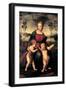 Madonna with Child and the Infant John the Baptist (Madonna of Goldfinch)-Sanzio Raffaello-Framed Giclee Print