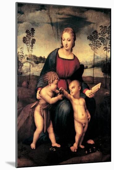 Madonna with Child and the Infant John the Baptist (Madonna of Goldfinch)-Sanzio Raffaello-Mounted Giclee Print