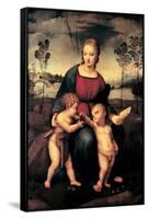 Madonna with Child and the Infant John the Baptist (Madonna of Goldfinch)-Sanzio Raffaello-Framed Stretched Canvas