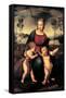 Madonna with Child and the Infant John the Baptist (Madonna of Goldfinch)-Sanzio Raffaello-Framed Stretched Canvas