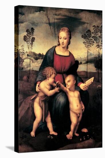 Madonna with Child and the Infant John the Baptist (Madonna of Goldfinch)-Sanzio Raffaello-Stretched Canvas
