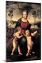 Madonna with Child and the Infant John the Baptist (Madonna of Goldfinch)-Sanzio Raffaello-Mounted Premium Giclee Print