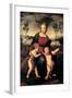 Madonna with Child and the Infant John the Baptist (Madonna of Goldfinch)-Sanzio Raffaello-Framed Giclee Print