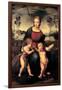 Madonna with Child and the Infant John the Baptist (Madonna of Goldfinch)-Sanzio Raffaello-Framed Giclee Print