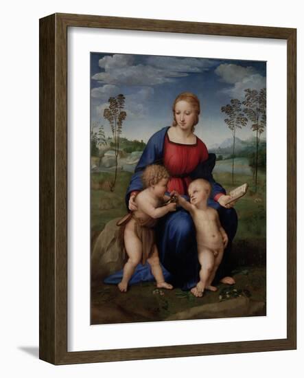 Madonna with Child and the Infant John the Baptist (Madonna of Goldfinch)-Sanzio Raffaello-Framed Giclee Print