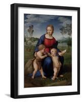 Madonna with Child and the Infant John the Baptist (Madonna of Goldfinch)-Sanzio Raffaello-Framed Giclee Print