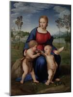 Madonna with Child and the Infant John the Baptist (Madonna of Goldfinch)-Sanzio Raffaello-Mounted Giclee Print