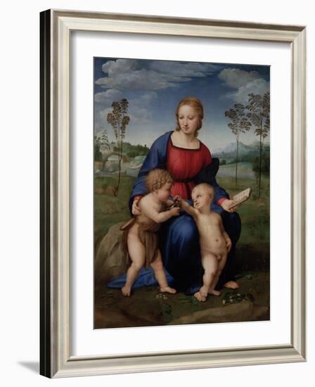 Madonna with Child and the Infant John the Baptist (Madonna of Goldfinch)-Sanzio Raffaello-Framed Giclee Print