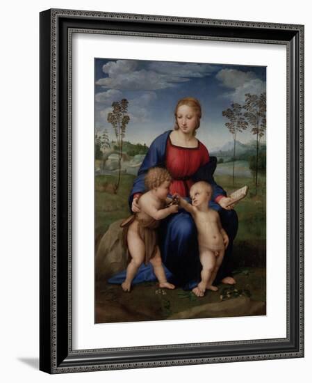 Madonna with Child and the Infant John the Baptist (Madonna of Goldfinch)-Sanzio Raffaello-Framed Giclee Print