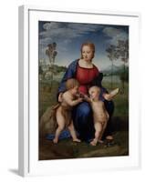 Madonna with Child and the Infant John the Baptist (Madonna of Goldfinch)-Sanzio Raffaello-Framed Giclee Print