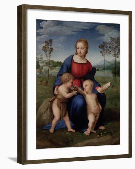 Madonna with Child and the Infant John the Baptist (Madonna of Goldfinch)-Sanzio Raffaello-Framed Giclee Print