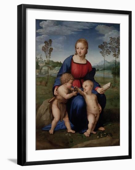 Madonna with Child and the Infant John the Baptist (Madonna of Goldfinch)-Sanzio Raffaello-Framed Giclee Print