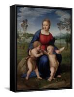 Madonna with Child and the Infant John the Baptist (Madonna of Goldfinch)-Sanzio Raffaello-Framed Stretched Canvas