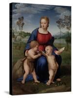 Madonna with Child and the Infant John the Baptist (Madonna of Goldfinch)-Sanzio Raffaello-Stretched Canvas