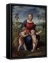 Madonna with Child and the Infant John the Baptist (Madonna of Goldfinch)-Sanzio Raffaello-Framed Stretched Canvas