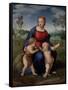 Madonna with Child and the Infant John the Baptist (Madonna of Goldfinch)-Sanzio Raffaello-Framed Stretched Canvas