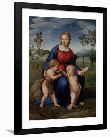 Madonna with Child and the Infant John the Baptist (Madonna of Goldfinch)-Sanzio Raffaello-Framed Giclee Print