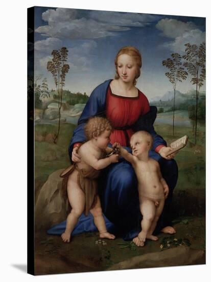 Madonna with Child and the Infant John the Baptist (Madonna of Goldfinch)-Sanzio Raffaello-Stretched Canvas