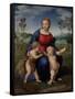 Madonna with Child and the Infant John the Baptist (Madonna of Goldfinch)-Sanzio Raffaello-Framed Stretched Canvas