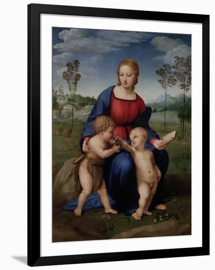 Madonna with Child and the Infant John the Baptist (Madonna of Goldfinch)-Sanzio Raffaello-Framed Giclee Print