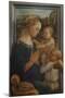 Madonna with Child and Two Angels-Filippo Lippi-Mounted Art Print