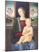 Madonna with Child, Andrea D'Assisi known as L'Ingegno, 1445-1511-null-Mounted Giclee Print