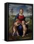 Madonna with Child, & Infant John the Baptist (Madonna of Goldfinch)-Raphael-Framed Stretched Canvas