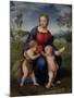 Madonna with Child, & Infant John the Baptist (Madonna of Goldfinch)-Raphael-Mounted Art Print