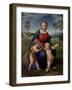 Madonna with Child, & Infant John the Baptist (Madonna of Goldfinch)-Raphael-Framed Art Print