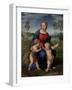 Madonna with Child, & Infant John the Baptist (Madonna of Goldfinch)-Raphael-Framed Art Print