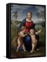 Madonna with Child, & Infant John the Baptist (Madonna of Goldfinch)-Raphael-Framed Stretched Canvas