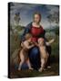Madonna with Child, & Infant John the Baptist (Madonna of Goldfinch)-Raphael-Stretched Canvas