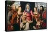 Madonna with Child, Saints and Followers-Bernardino Luini-Stretched Canvas