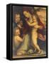 Madonna with Child, St John and Angels-null-Framed Stretched Canvas