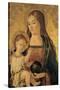 Madonna with Child-null-Stretched Canvas