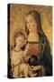 Madonna with Child-null-Stretched Canvas