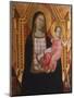 Madonna with Child-Taddeo Gaddi-Mounted Giclee Print