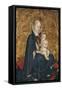 Madonna with Child-Giovanni Shovel-Framed Stretched Canvas