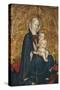 Madonna with Child-Giovanni Shovel-Stretched Canvas