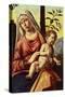 Madonna with Orange Tree, 1496-1498-Giovanni Battista-Stretched Canvas