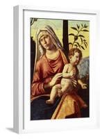 Madonna with Orange Tree, 1496-1498-Giovanni Battista-Framed Giclee Print