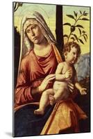 Madonna with Orange Tree, 1496-1498-Giovanni Battista-Mounted Giclee Print