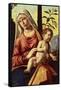 Madonna with Orange Tree, 1496-1498-Giovanni Battista-Framed Stretched Canvas