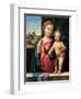 Madonna with the Child, 1512-Benvenuto Tisi Da Garofalo-Framed Giclee Print