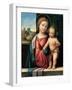 Madonna with the Child, 1512-Benvenuto Tisi Da Garofalo-Framed Giclee Print