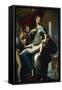 Madonna with the Long Neck, 1534-40-Parmigianino-Framed Stretched Canvas