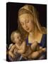 Madonna with the Pear. Child is holding a slice of a pear-Albrecht Dürer-Stretched Canvas